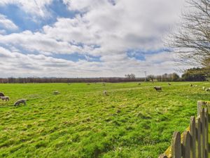 Southerly View- click for photo gallery